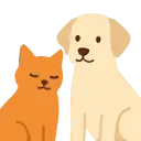 Pavlov - Pet Care