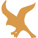Halcón