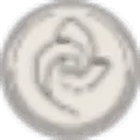 The Body Rings
