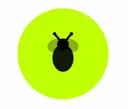 DashBee