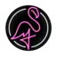 Neon Flamingo