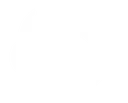 Villson AI