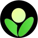 Betula Assistant