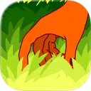 Touch All The Grasses