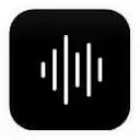 VoiceX