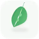 PennyPod