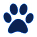 Rover AI