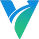 Viagilize