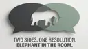 Elephant in the Room