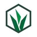 Grassroot Academy | AI Learning