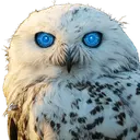 OwlAI.cc - AI for Small Business