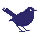 ClipWise