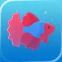 Pixfin