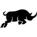 ROBUST Design Studio