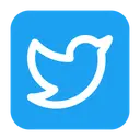 Twitter Video Downloader