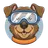 StashDog