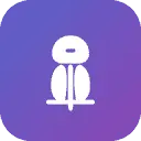 Socialji