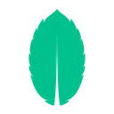 MintAPI