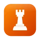 Rook