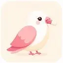 PillBird