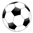 Goalsarea