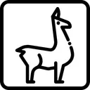 VideoLlama