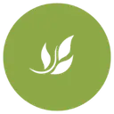 Mindful Family