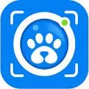 AI Animal Identifier
