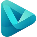 Veevid AI