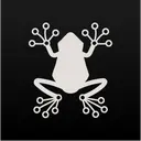 Rainfrog
