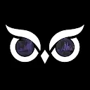 OwlInsight
