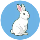 marpy.io