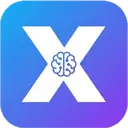X AI Assistant