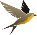 HiveWeaver FM
