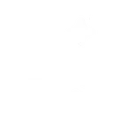 LLM Automatic Translation