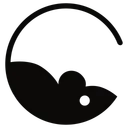 RChat.dev