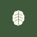 task4brain