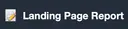 Landing Page Report 
