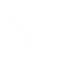 LoopIQ