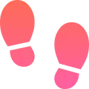 TheColorWalk