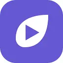 Vidleaf