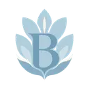 BES | Bar Exam Simplified