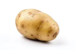 Mrpotatoeschip