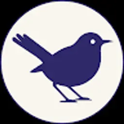 wreniostudio