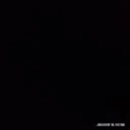 jainnimit728