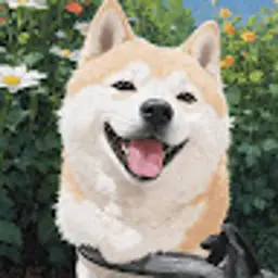 nexmoei