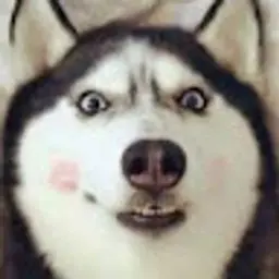 channelerh