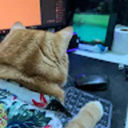ngqunghuy