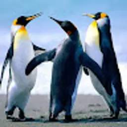 imyaclub