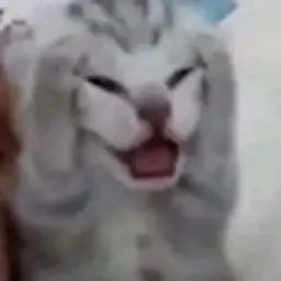 ejazahmadnfsmw